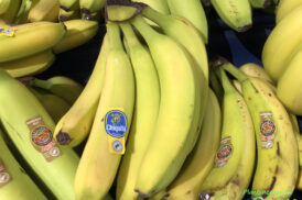 Musa accuminata ‘Grand Nain’ – Chiquita banaan