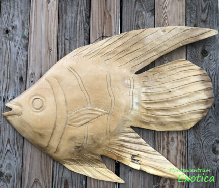 Wanddeko Fisch 80x65cm (Holz)