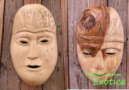 Masque de décoration murale (bois 50x30cm)
