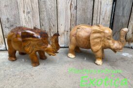 Statue Éléphant (Bois 35x15x20cm)