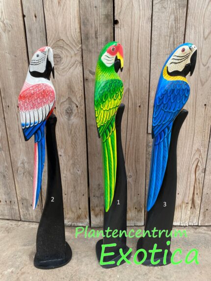 Piédestal ara (bois 80cm)