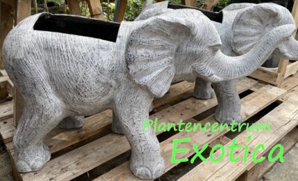 Blumentopf Elefant (GRC 80x50cm)